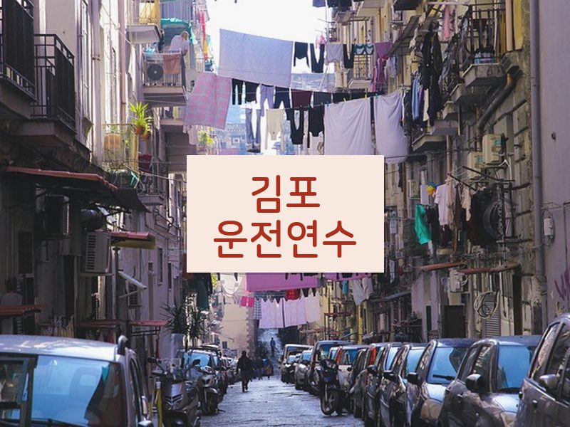 김포운전연수 후기