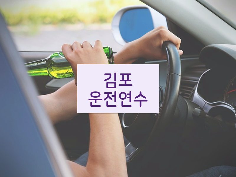 김포운전연수 후기