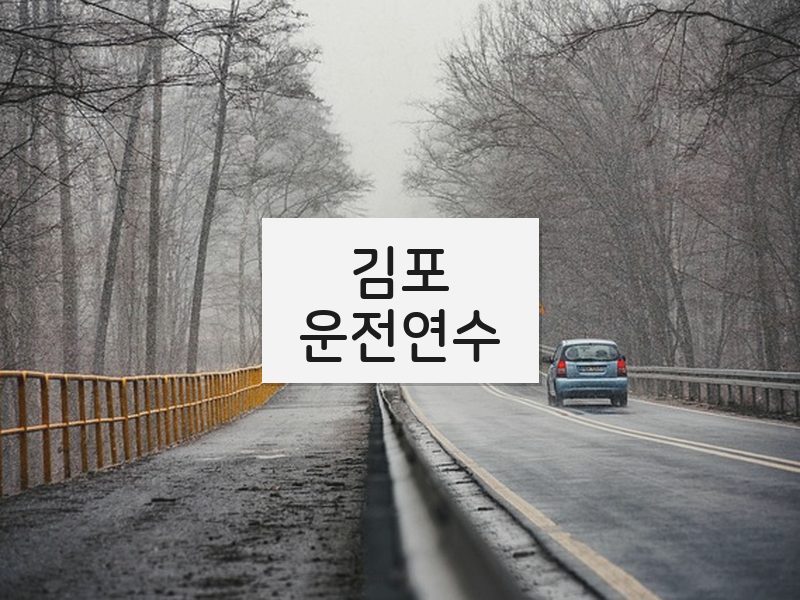 김포운전연수 후기