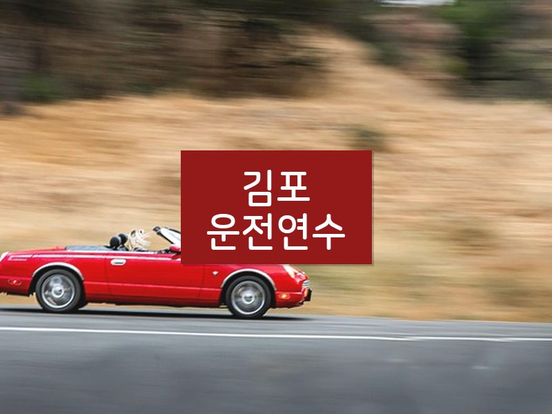 김포운전연수 후기