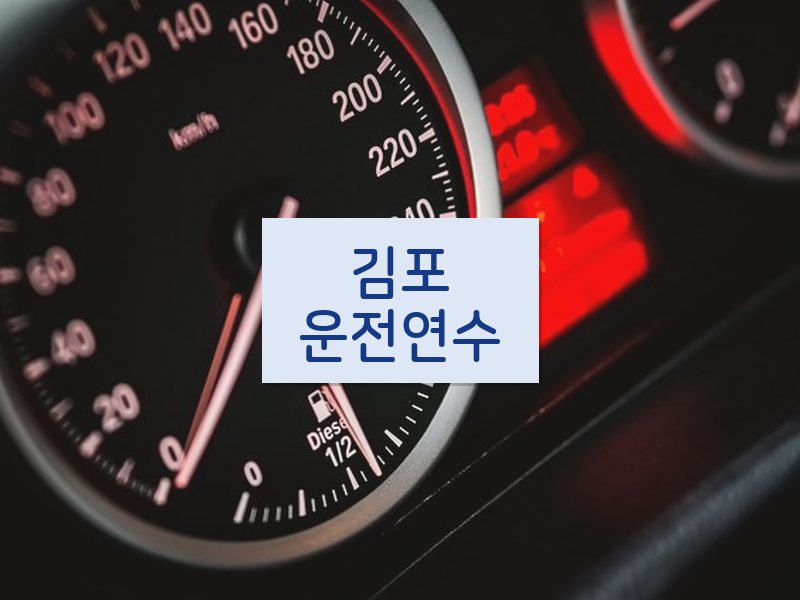 김포운전연수 후기