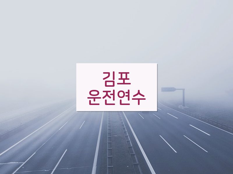 김포운전연수 후기