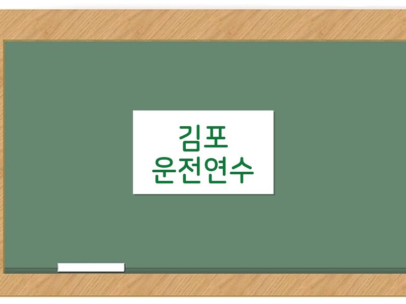 김포운전연수 후기