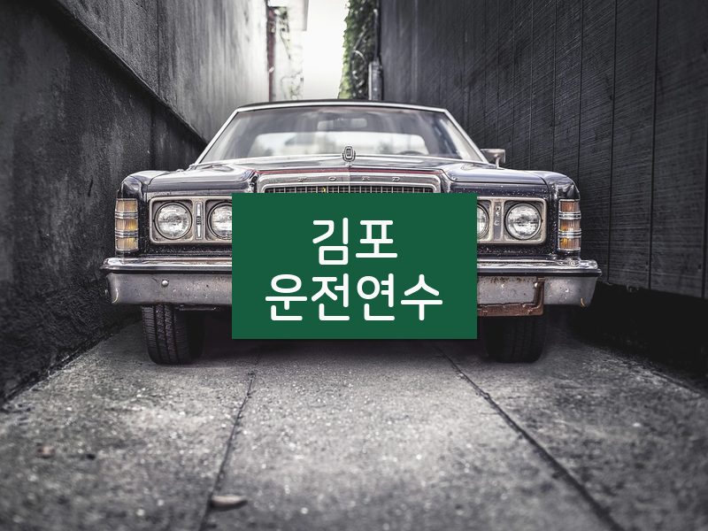 김포운전연수 후기