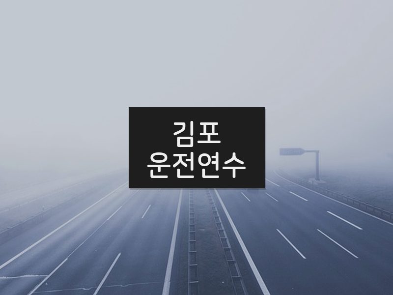 김포운전연수 후기