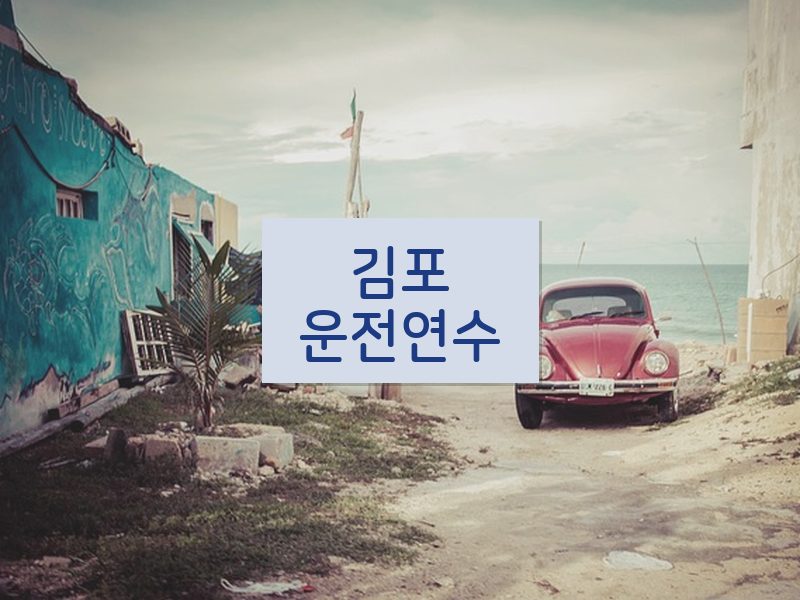 김포운전연수 후기