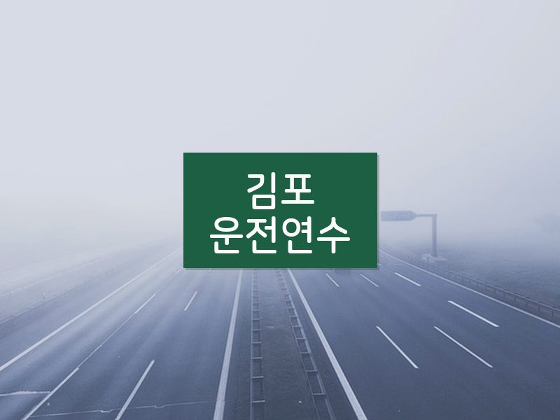 김포운전연수 후기