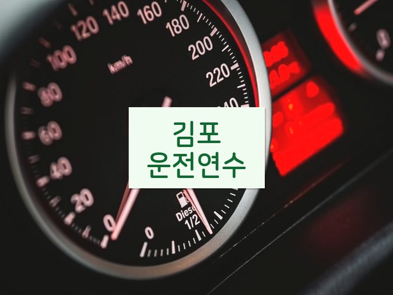 김포운전연수 후기