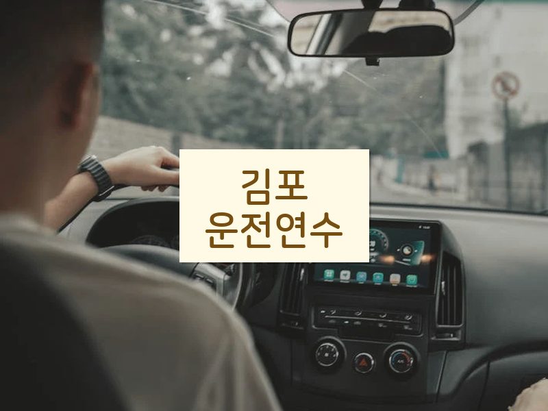김포운전연수 후기