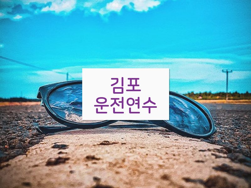 김포운전연수 후기