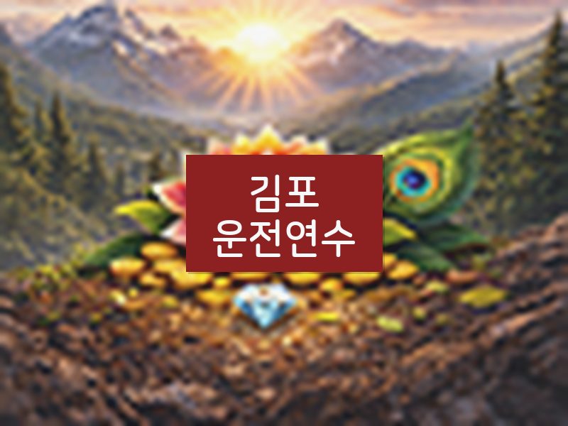 김포운전연수 후기