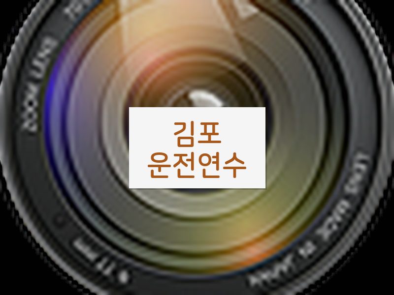 김포운전연수 후기