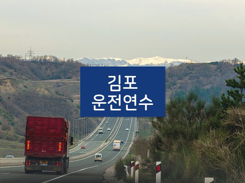 김포운전연수 후기