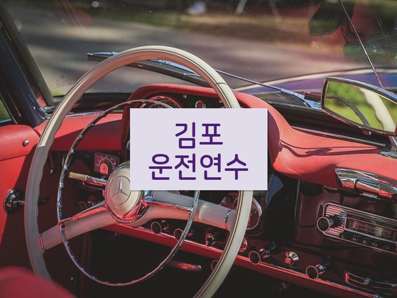 김포운전연수 후기