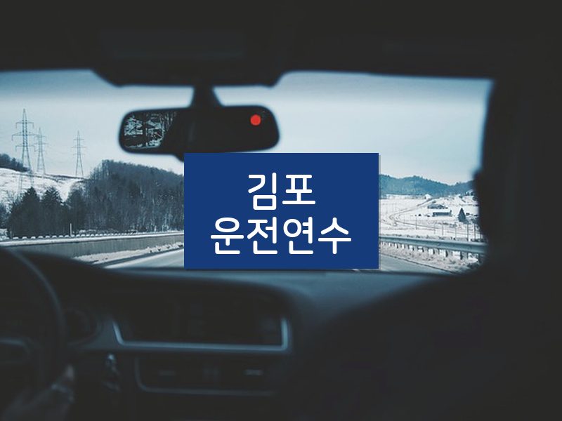 김포운전연수 후기