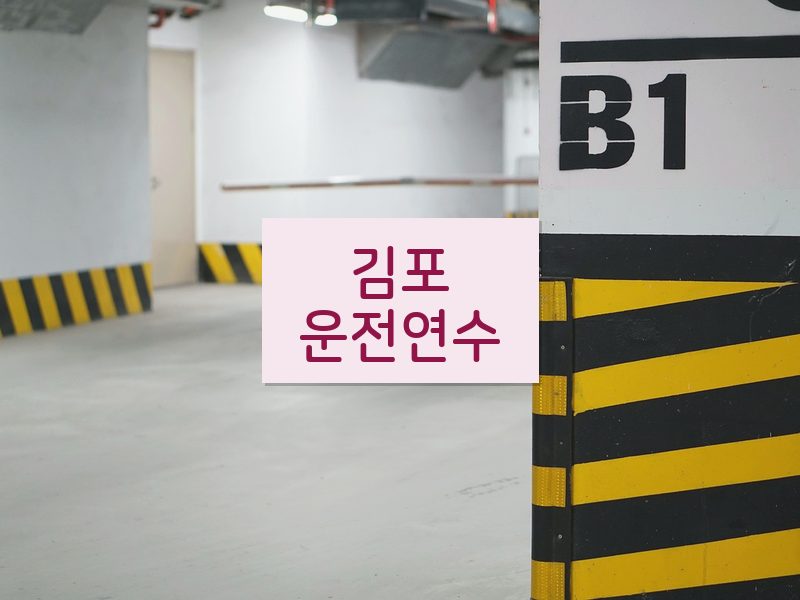 김포운전연수 후기