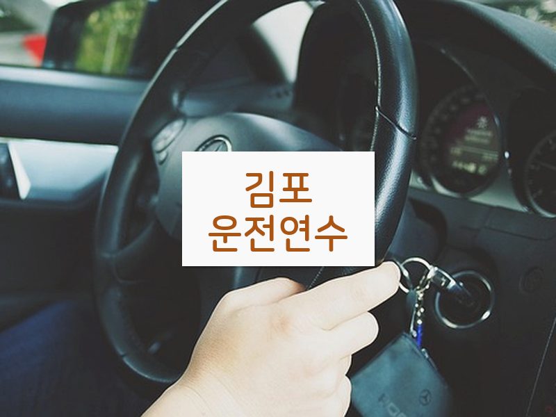 김포운전연수 후기