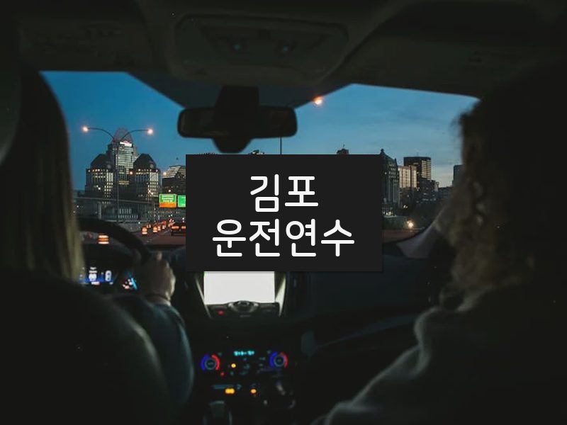 김포운전연수 후기