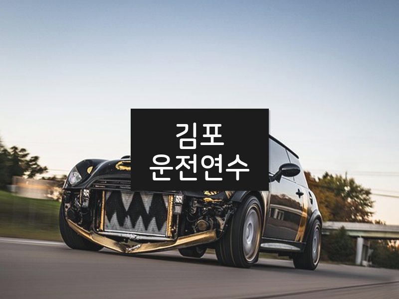 김포운전연수 후기