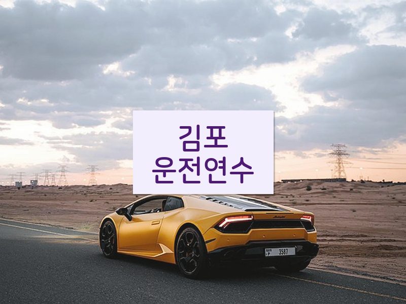 김포운전연수 후기