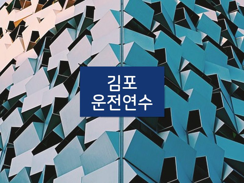 김포운전연수 후기