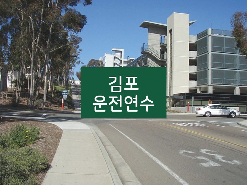 김포운전연수 후기