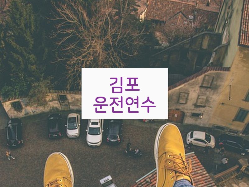 김포운전연수 후기