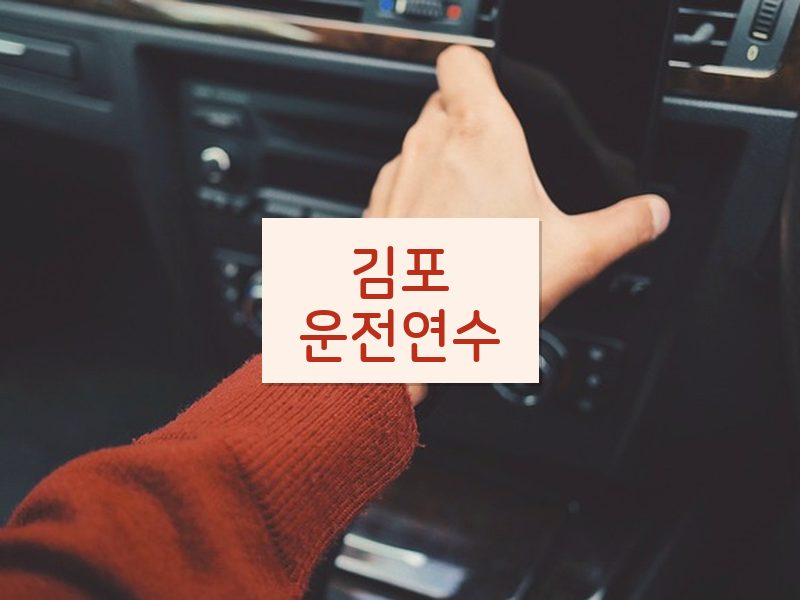 김포운전연수 후기