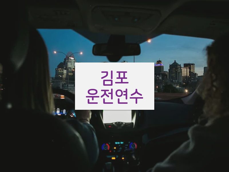 김포운전연수 후기