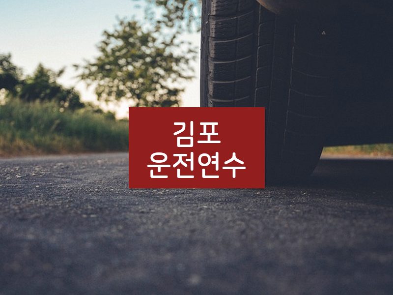 김포운전연수 후기