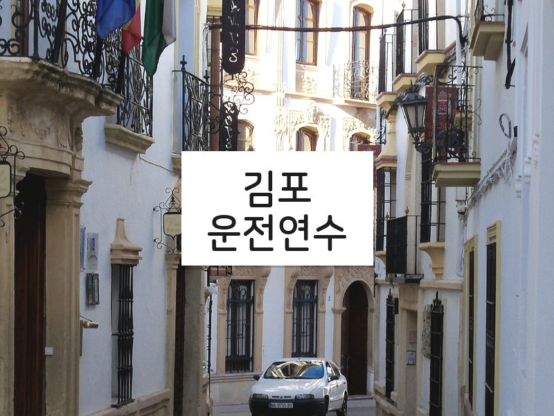 김포운전연수 후기