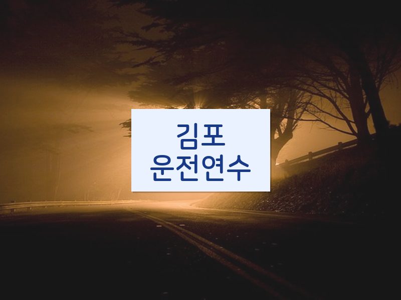 김포운전연수 후기