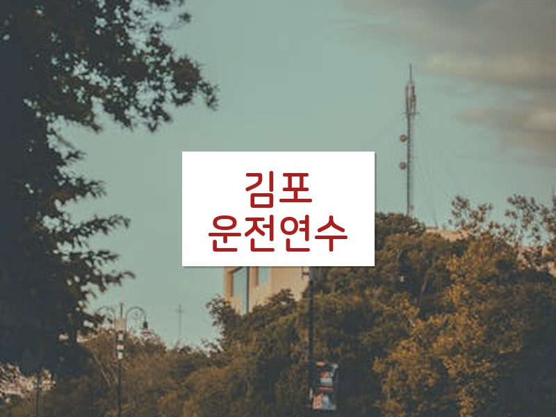 김포운전연수 후기