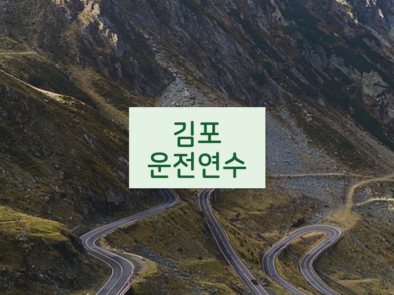 김포운전연수 후기