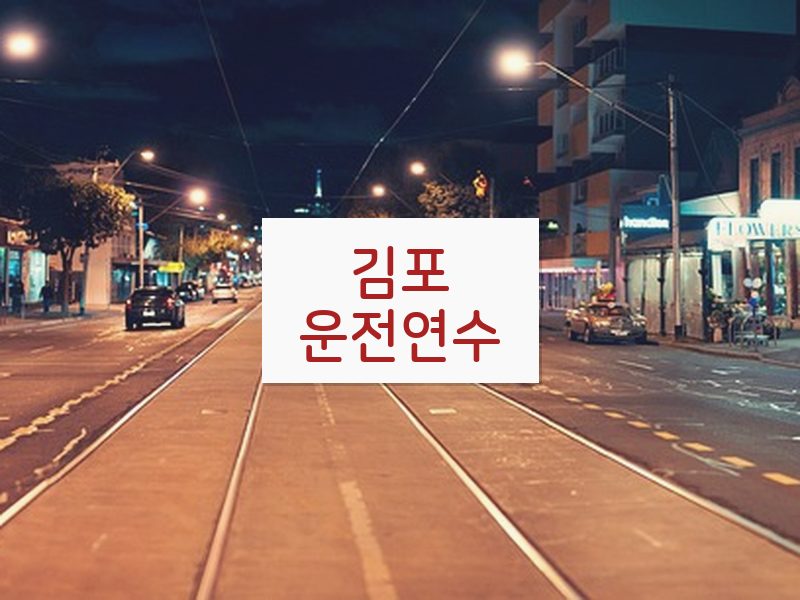 김포운전연수 후기