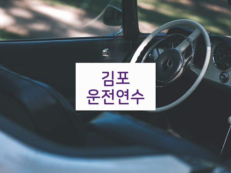 김포운전연수 후기