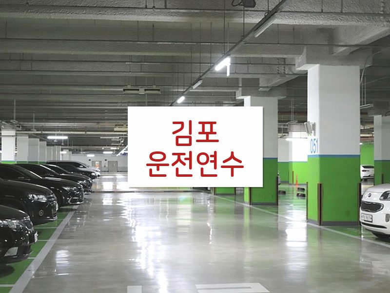 김포운전연수 후기