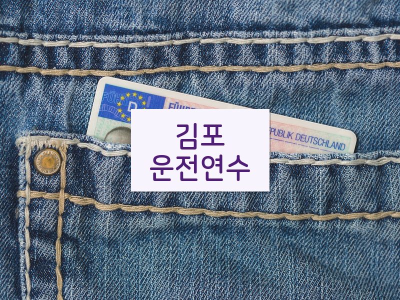 김포운전연수 후기