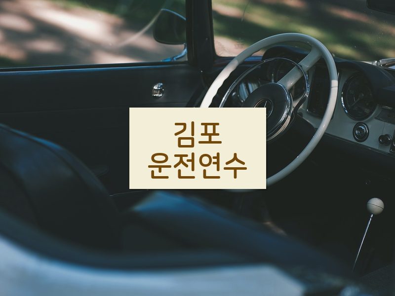 김포운전연수 후기