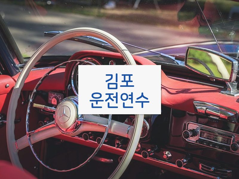 김포운전연수 후기