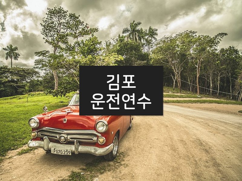 김포운전연수 후기