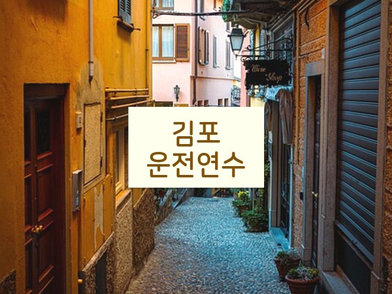 김포운전연수 후기