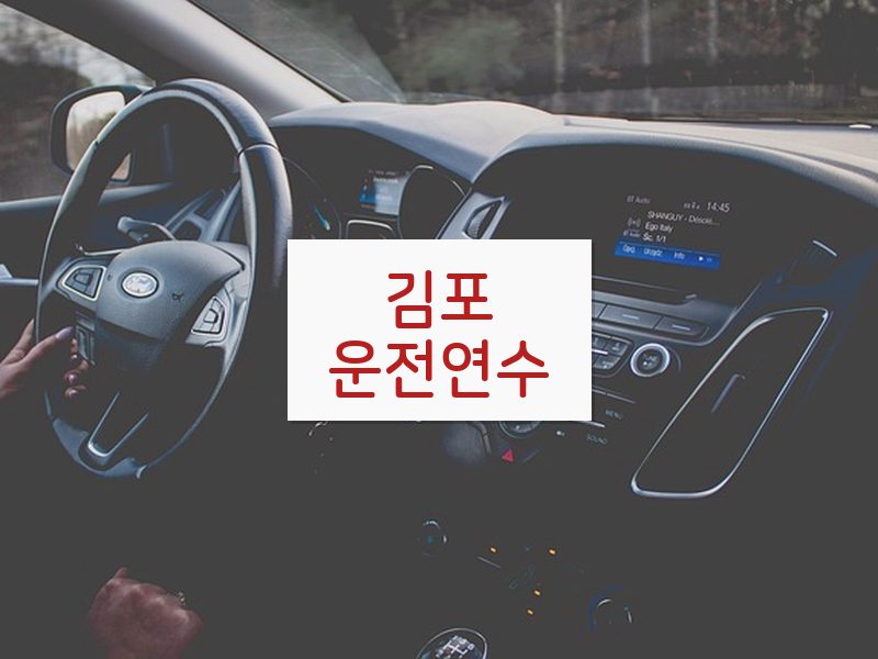 김포운전연수 후기