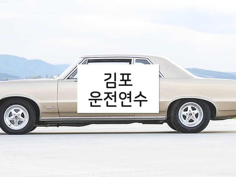 김포운전연수 후기
