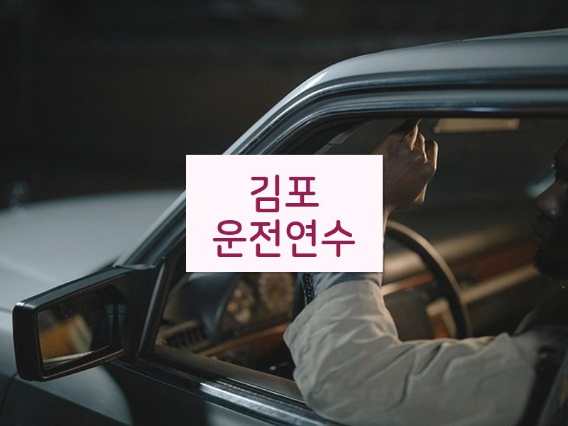 김포운전연수 후기