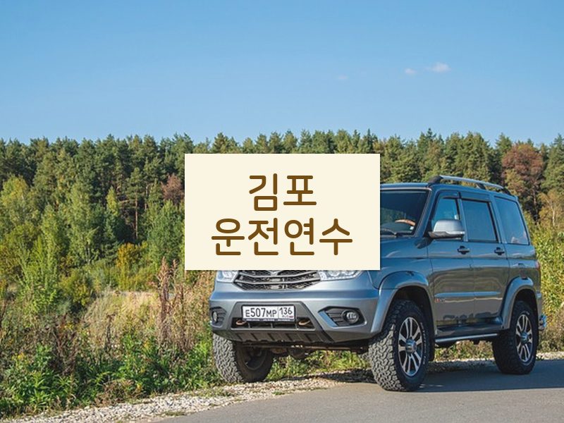 김포운전연수 후기