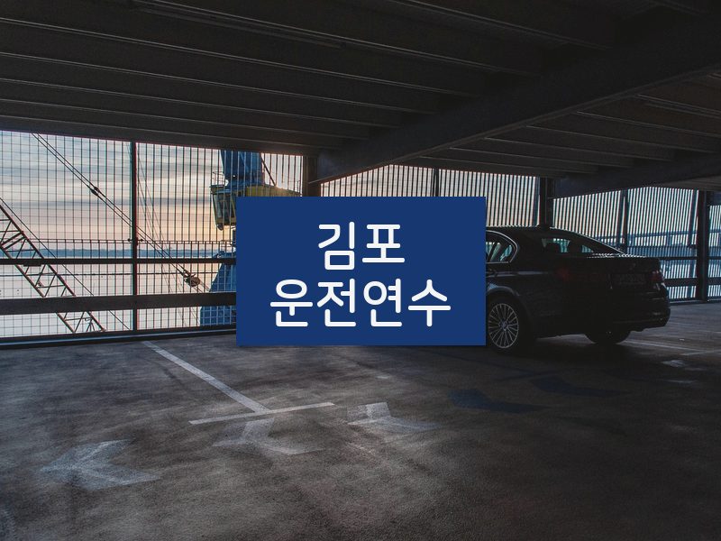 김포운전연수 후기