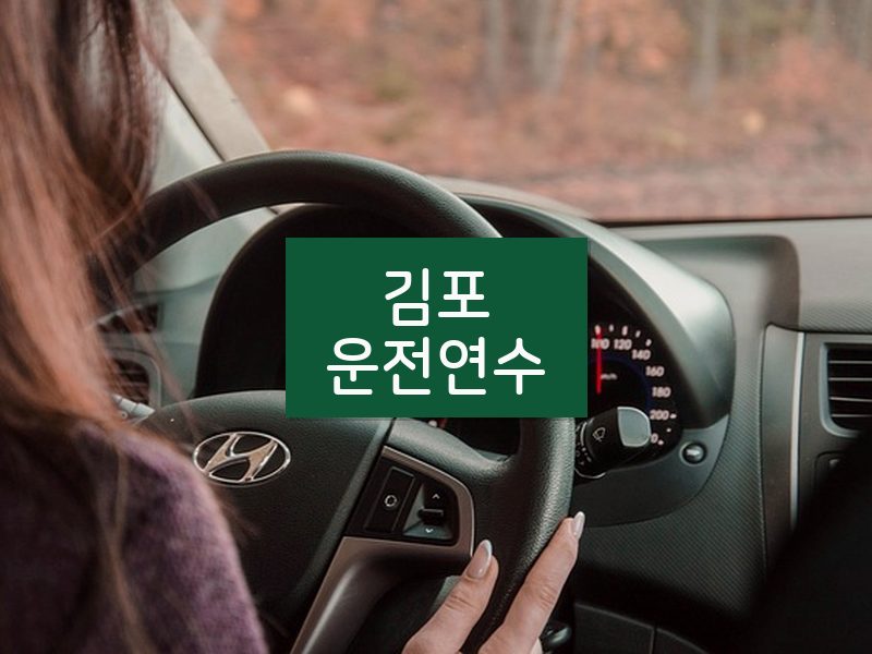 김포운전연수 후기