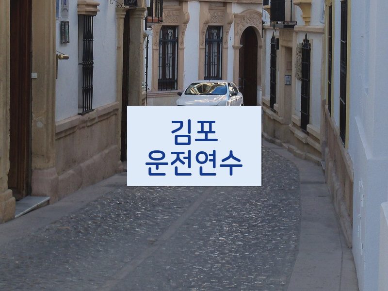 김포운전연수 후기