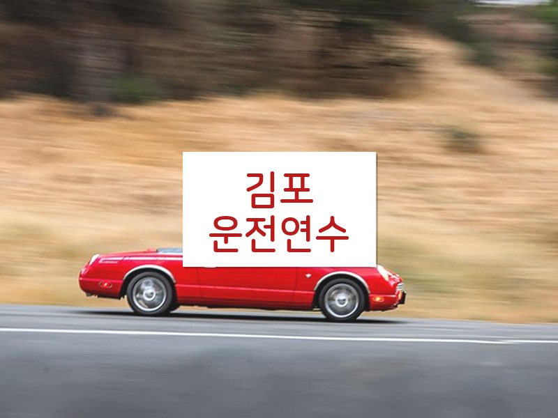 김포운전연수 후기